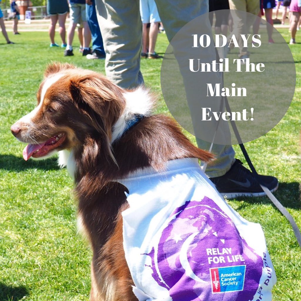 It’s almost here! Join us for the main event on the Greenspace 12-6pm next Friday!! 💜💜