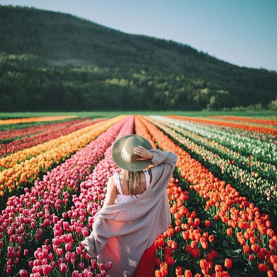Beamytweet's tweet photo. Spring!!! _!!YES!!_Finally
A color festival in process! ...:)) Get ready!
#tulipsinholland ..
CAT STEVENS - "Morning Has Broken"
https://t.co/Oa0zlXiVJW
#happy #spring #color #joy #hollande #tulips #music #Joyeux #printems
#beautiful #morning in #march https://t.co/zy4vKxWvCi
