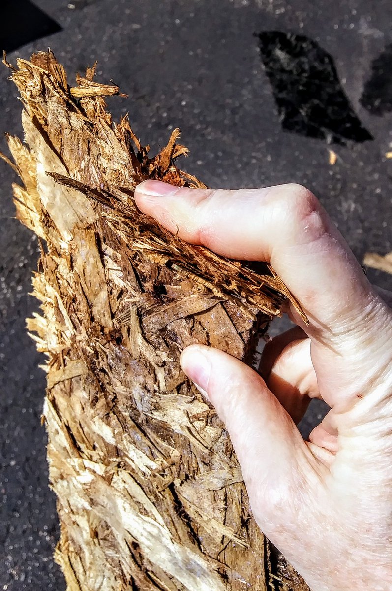 harkherold's tweet image. My #leakingroof that townhome ass'n "backburnered b/c it's going to take more time"(a quote from Ass't Mgr), causing #raininginside bedrm 11days (inside=MY resp), got fixed today.
Reprmn alost fell off when foot went THROUGH roof.
Oh, it gets better; see pix descripts for deets.