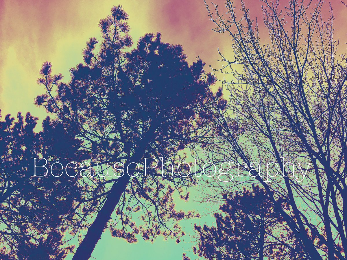 Because Photography tweet media
