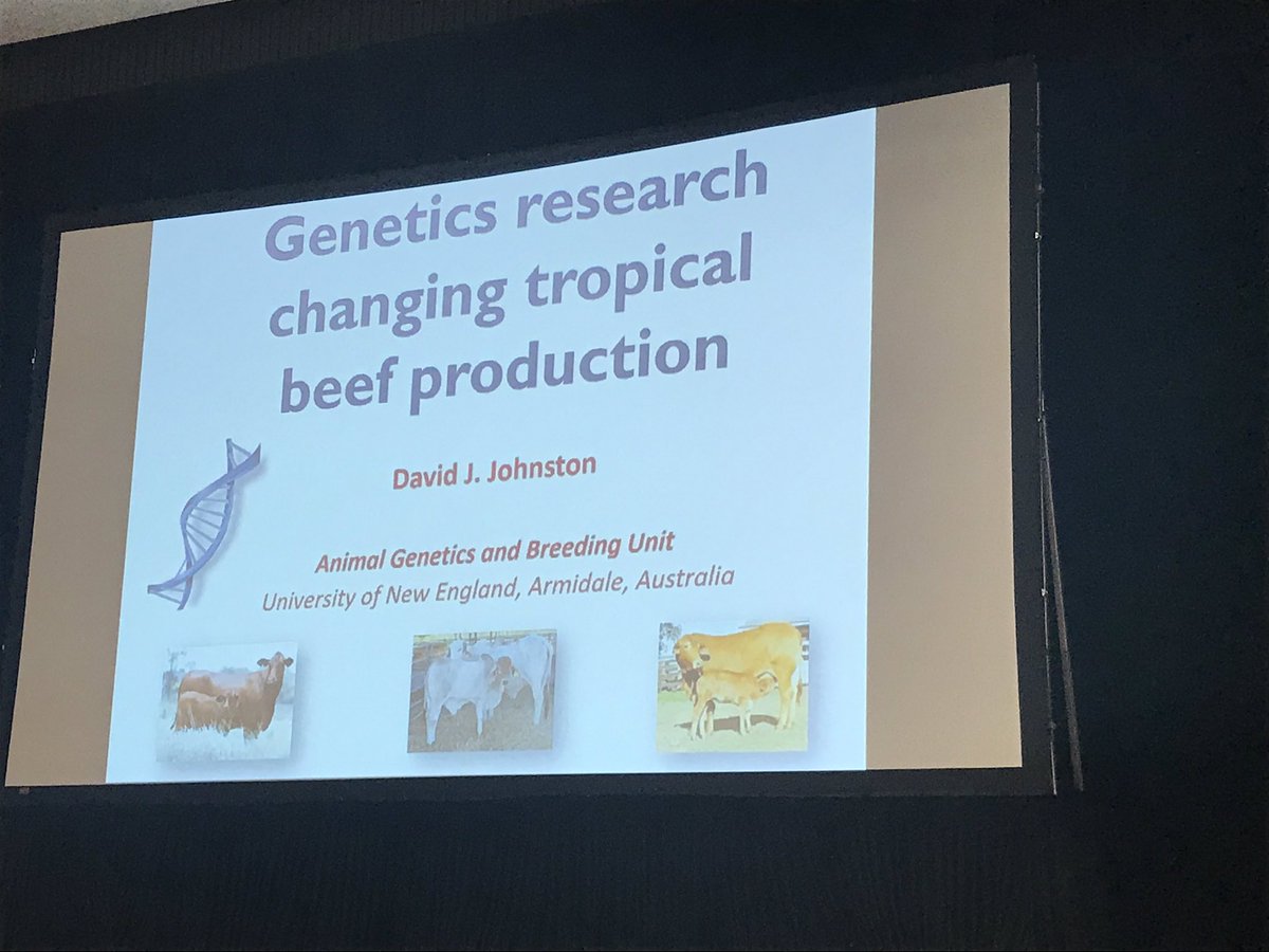 AGBU_GENE's tweet photo. David Johnston from @AGBU_GENE talked about the #repronomics project in northern beef cattle at #leadingbreeder19. Many crossover messages in regards to genomics and repronomics. Emphasising the importance of “Recording reproduction to improve reproduction” @meatlivestock https://t.co/2y5goYlyhO