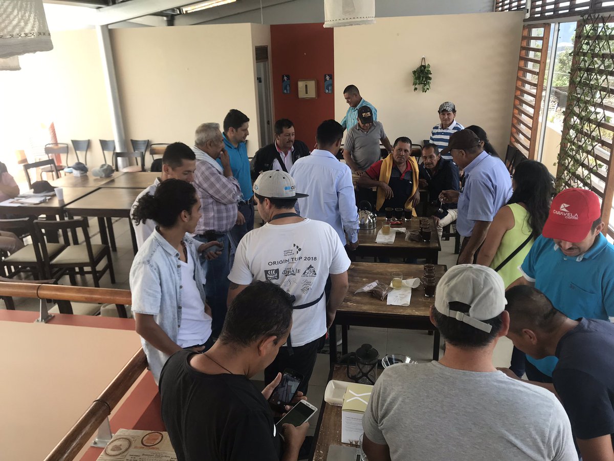 cooperativa de cafes especiales de nariño tweet media