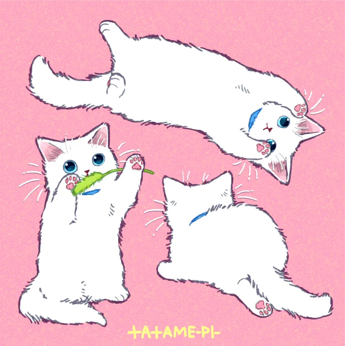 にくきゅう? 