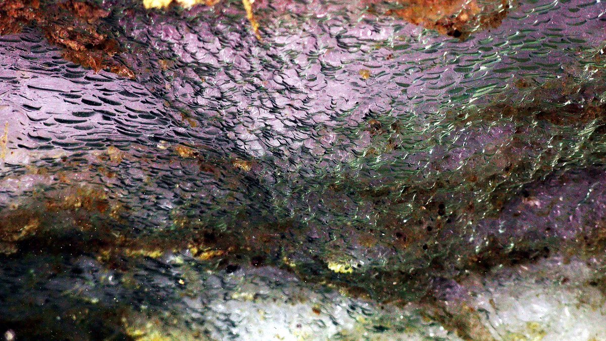 SchmidtOcean's tweet photo. This image of methane hydrate is beautiful! These ice-like solids are a crystalline lattice: molecules of gas trapped in a ‘cage’ of water molecules. Check out past expeditions for more info: #HuntingBubbles, #BackyardDeep, and #MicrobialMysteries, where this image is from. https://t.co/TAeebuYON8