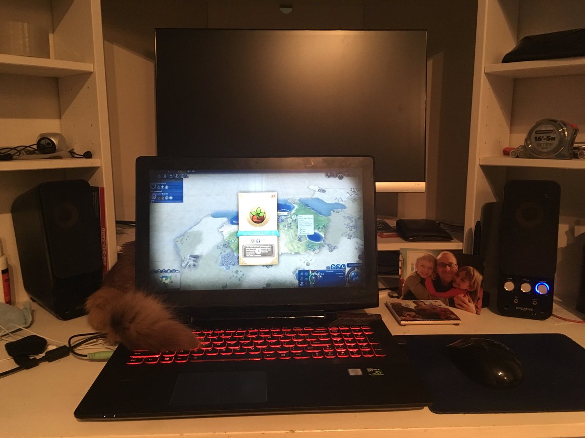 gnolynSB's tweet image. Quick: can you spot the cat?
#stealthfail #toofluffytorogue #dndcatfail