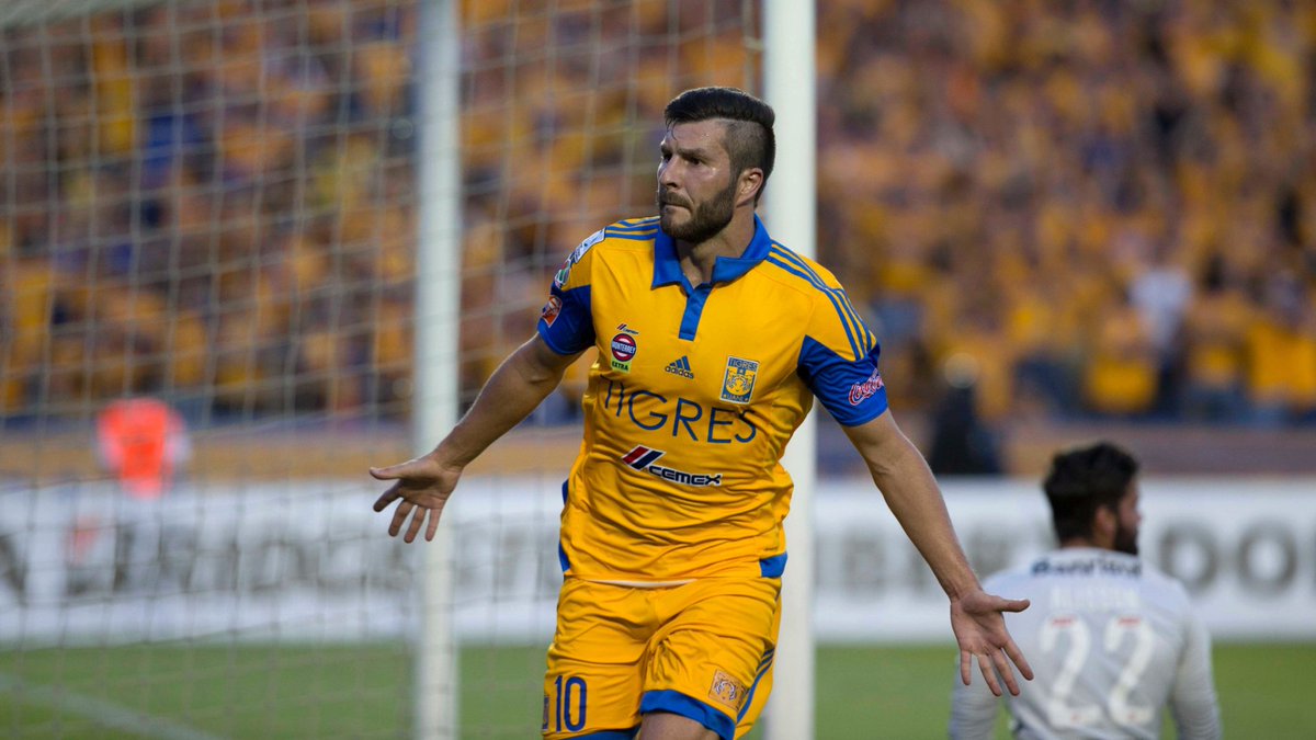 RafaDato2's tweet photo. Es #DíaInternacionalDeLaFelicidad y me quedó con estos 4 momentos de Tigres https://t.co/WavviUPH7N