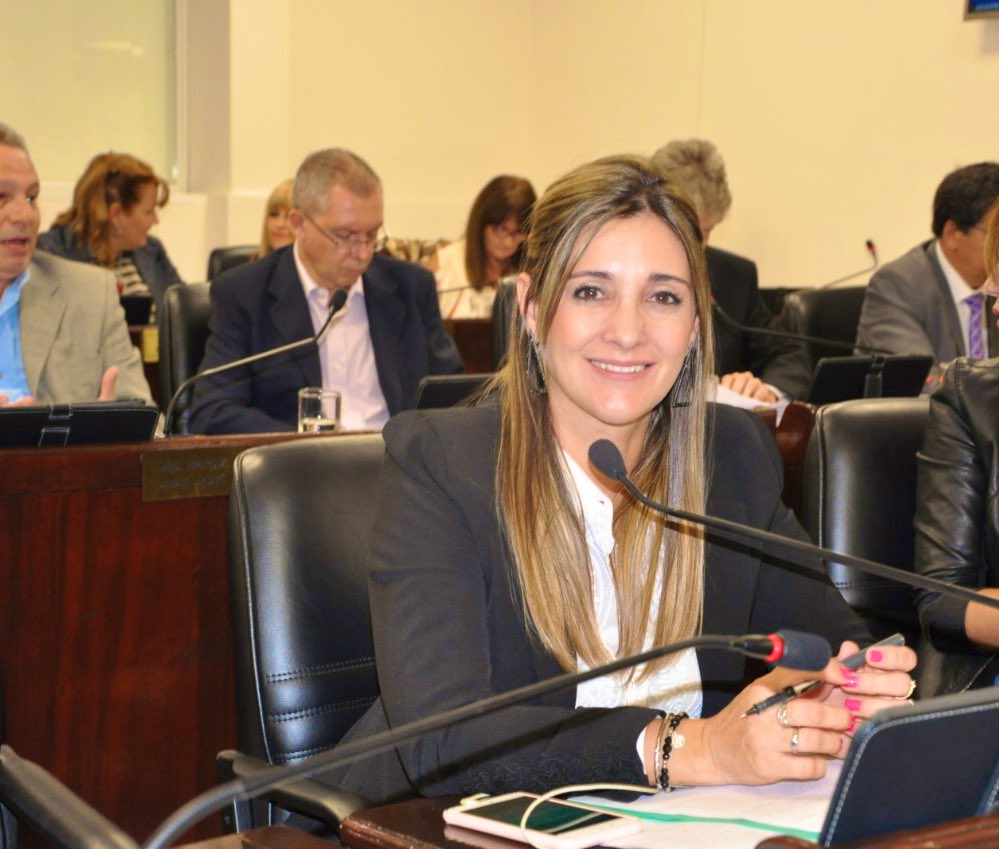 clpanzardi's tweet photo. RECATEGORIZACION DEL MUNICIPIO DE #LOSFRENTONES
Comparto la enorme alegría del deber cumplido!
Doble satisfacción, por ser autora del proyecto de ley y presidenta de la Comisión de Asuntos Municipales
#Gracias a mis pares del #FChMM ❤️ https://t.co/ezaDPpcgTw