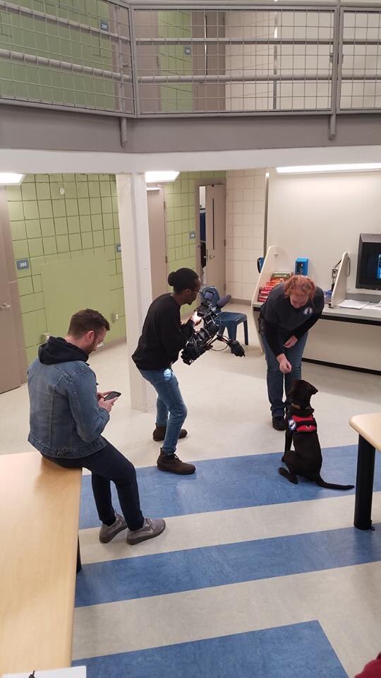 Hero Pups tweet media