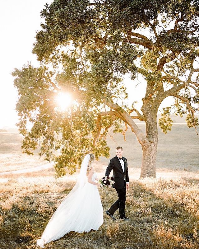 rmbocollective's tweet photo. Today, on this first day of Spring, as I am watching the rain and hail fall outside my window in (usually) sunny SoCal, it couldn't be a better time for a PSA about the challenges of planning an outdoor wedding. 🌧☀️💨 It’s easy to become seduced by th… https://t.co/FMmYbqdRRw https://t.co/D49neiyfcx