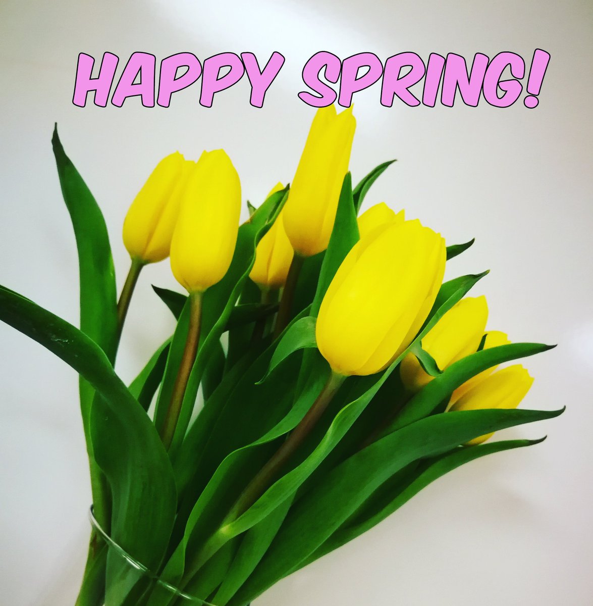 acuratedevent's tweet photo. Sooooo happy to be saying hello to spring today!

#eventdecor #ckont #chathamkent #firstdayofspring #firstdayofspring2019 #spring #swont #springflowers https://t.co/H7GjNQfuqk