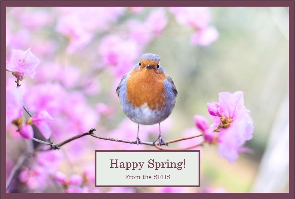 sfdsorg's tweet photo. #SpringhasSprung #SpringEquinox2019 https://t.co/mE0CEjywha