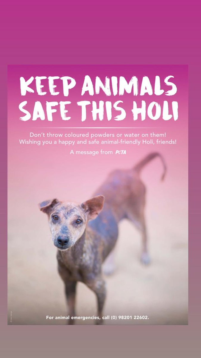 Happy Holi!! 
#HappyHoli #playsafeholi 
#Keepanimalssafethisholi