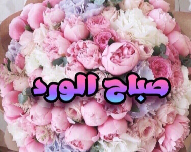 Si1804's tweet photo. صباح  الخير لرائحة القهوة 
ولهدوء  الذي يسكنناوالكل لاشياء الجميله 
صباح -الورد🌹
#برنس_حنين_للدعم
#بحر_المشاعر_Gp
#رشة_عطر_الدعم
#مملكة_قلم_للدعم
#قروب_هدووء_الليل
#مملكة_محمد_للدعم
#قروب_عمر_للدعم
#قروب_لمة_احباب
#قلعة_الوافي_للدعم
#مملكة_مشعل_للدعم
#قروب_الحسناء_للدعم https://t.co/nOXVhEda5o