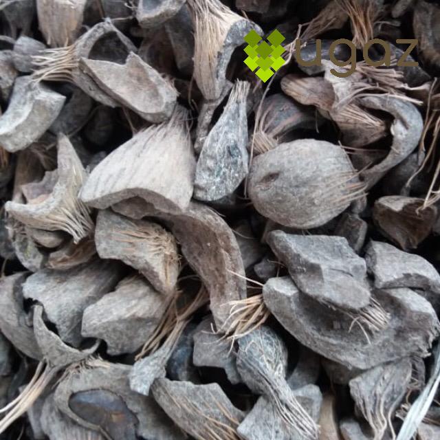 UGAZCommodity's tweet image. #PalmKernelShell has become an attractive #RenewableEnergy fuel. In #Indonesia, we call it #CangkangSawit
#Biomass
#Sustainable
#PalmOil