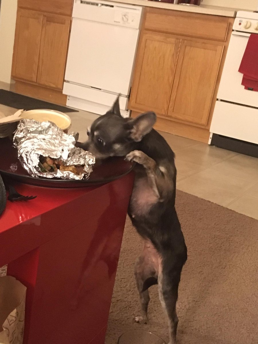 Brent Lindblad (@sir_brentalot) on Twitter photo 