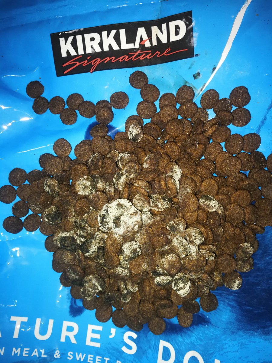 mangielemur's tweet photo. @costco_mexico qué está pasando con sus croquetas? No puede ser que haya pasado esto, siempre he preferido su marca por su calidad, pero ahora no sé qué pasó y que hasta pueda perjudicar a mi mascota :/ @Costco https://t.co/DfmALCes41