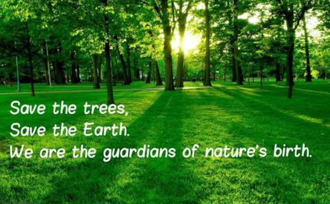 PeaceTrees1's tweet photo. #Savetrees #Peacetrees #Holi2019 #Happyholi2019 #heartfulness https://t.co/Y1l3OPSF7a