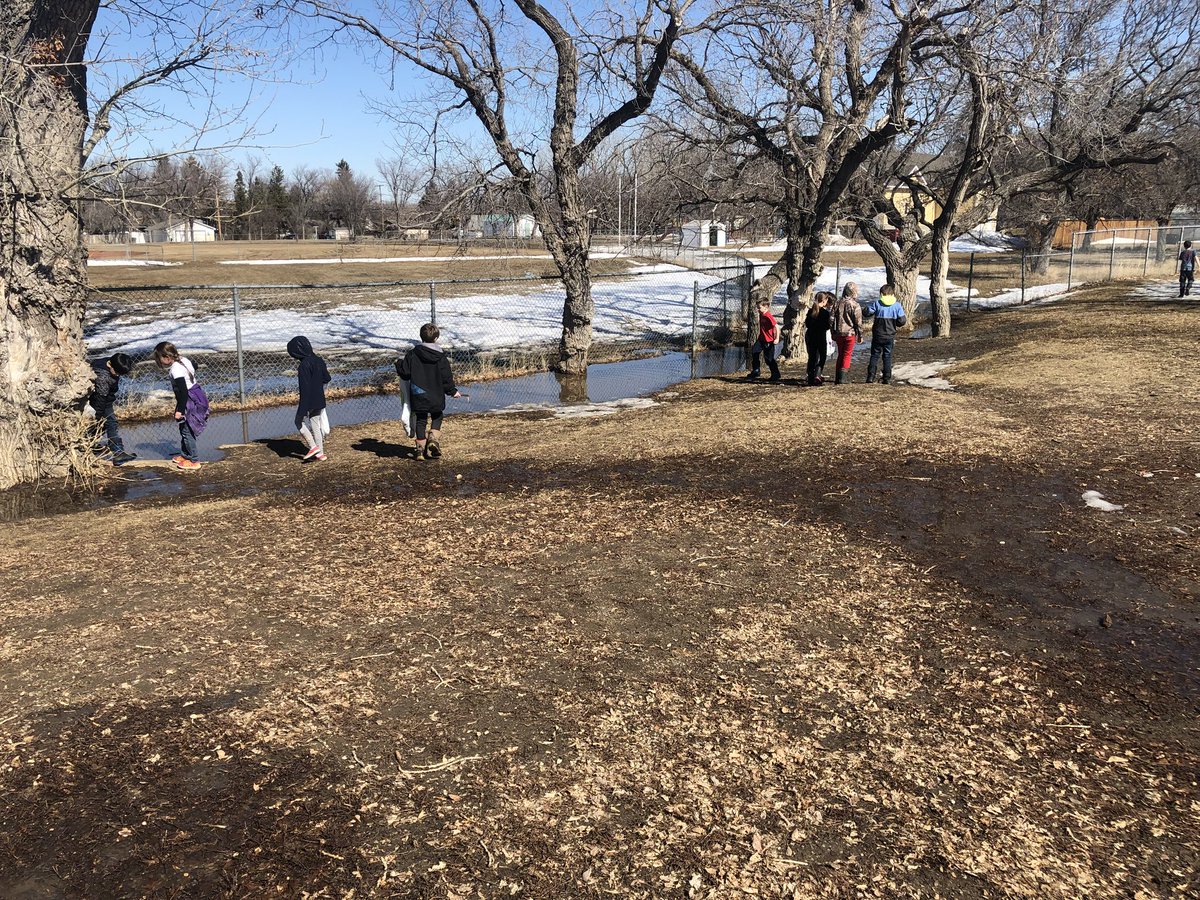 misshacksclass's tweet photo. The grade 3’s and I went on a nature walk to look for signs of spring! They were so excited to be outside in this beautiful weather! #LearningTogether https://t.co/9AVkebLGIj