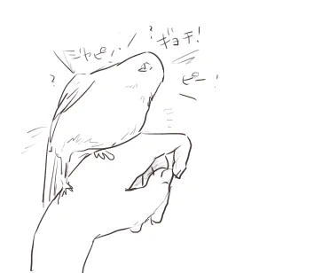 Ctrl+zが押せないんだよ 