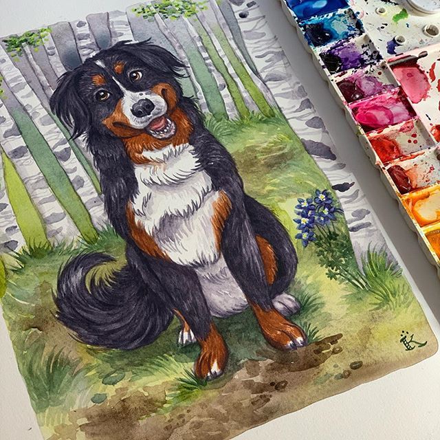 KellyPattonArt's tweet photo. Colorado friends, what plants do you see (besides aspen trees and columbines) when you are hiking the Rockies?  I’m working on this dog portrait and am going to add more detail to the scene. So far all I can think of is a rolly polly (pillbug). #colorado… https://t.co/cbvxBVzXxD https://t.co/gOFBatfANY
