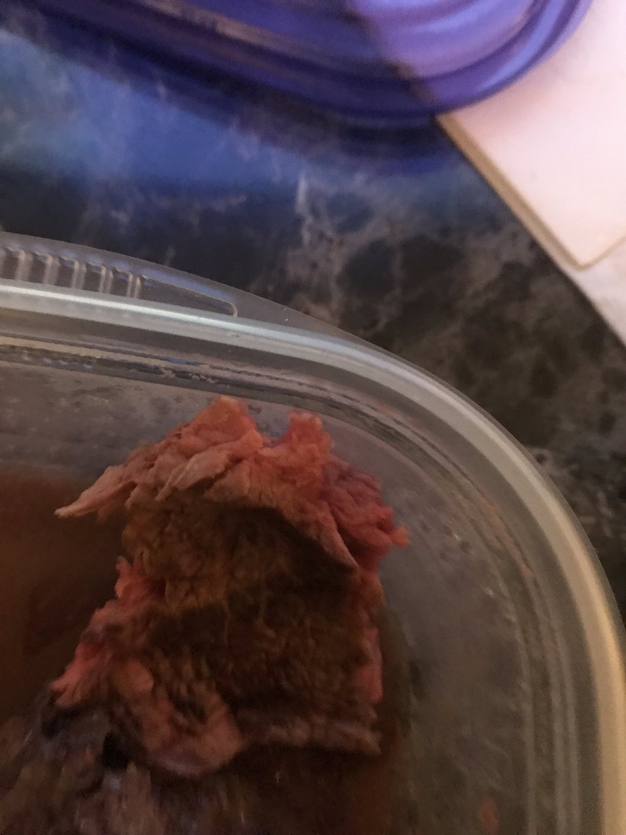StruggleBus_SC's tweet photo. Is this chicken or steak ? https://t.co/QaV7vvyLRO