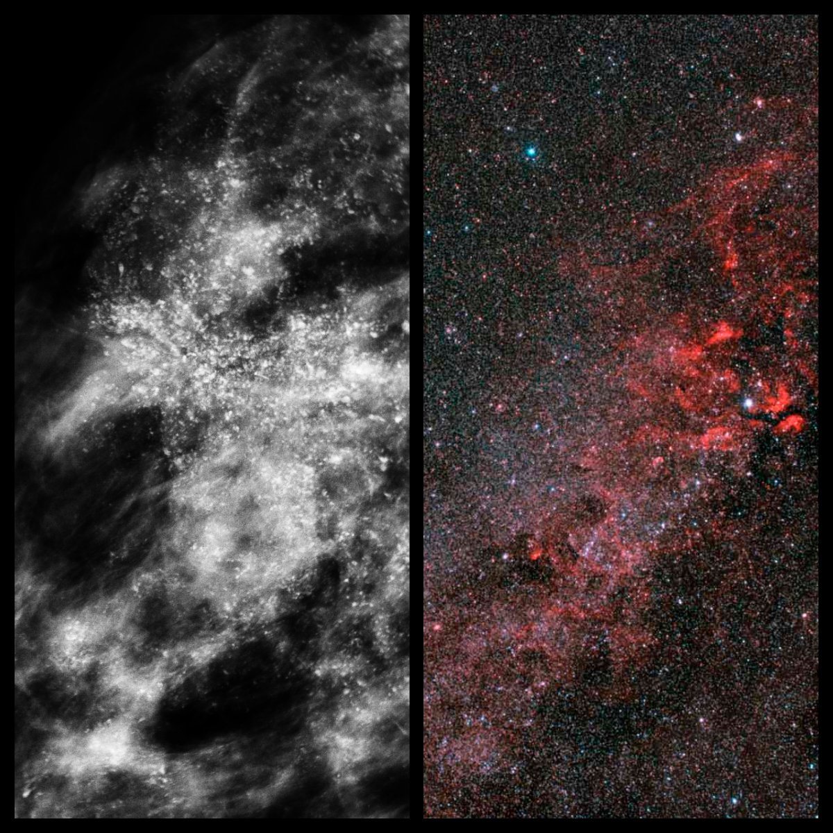 RadioPareidolia's tweet photo. Constellation of Mammogram
#radiology #pareidolia #mammogram #breast #microcalcifications #mass #constellation #stars #space #BIRADS #breastcancer #xray #mammography

https://t.co/fifh5tvl1b https://t.co/smyLOnpAIN