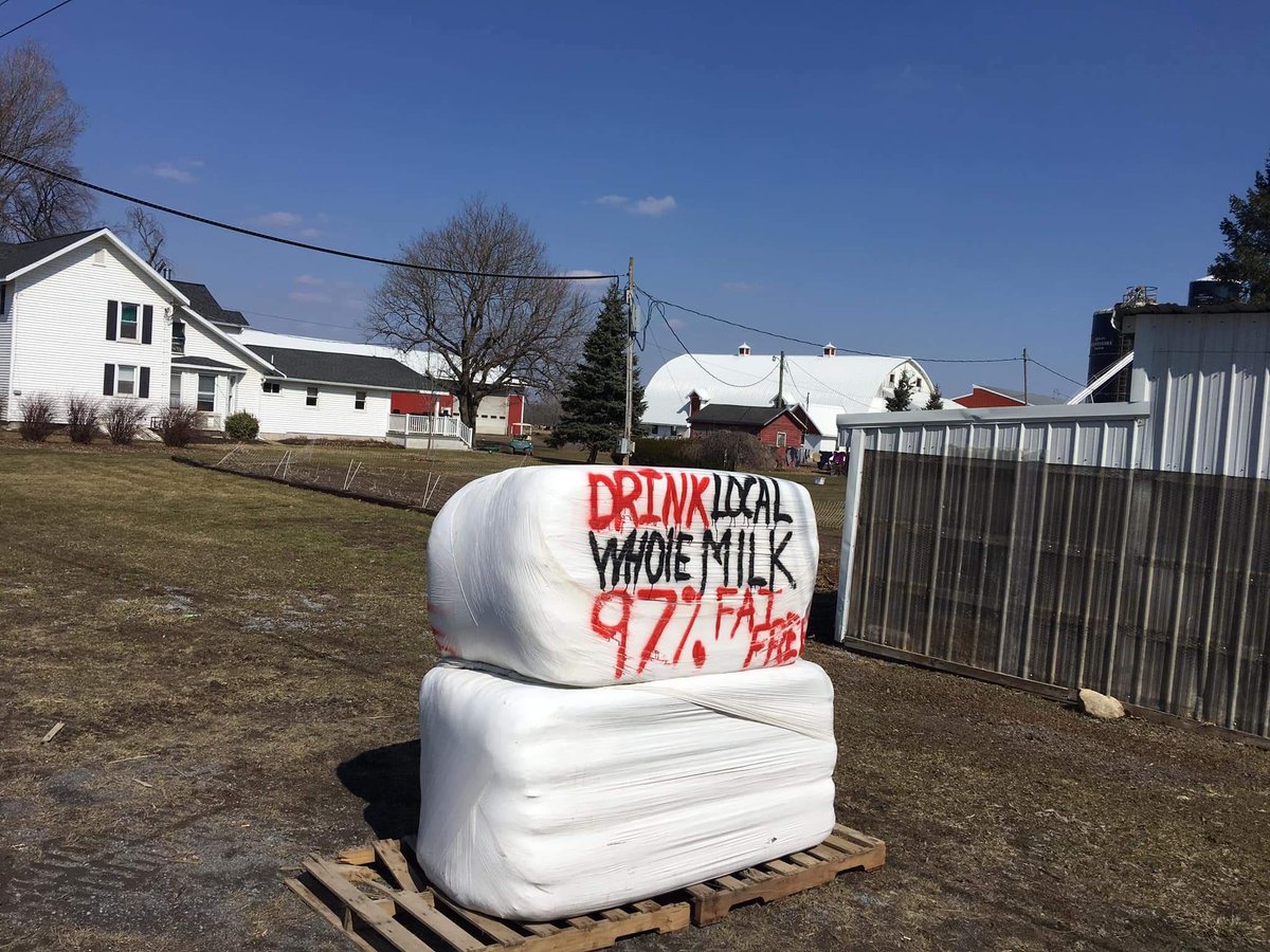 NYFarmer's tweet photo. Grassroots farmer campaign for whole milk grows. Farmers making own signs. @97milk1 (pic by Erica Leubner) #dairy https://t.co/oOmobJV1DK