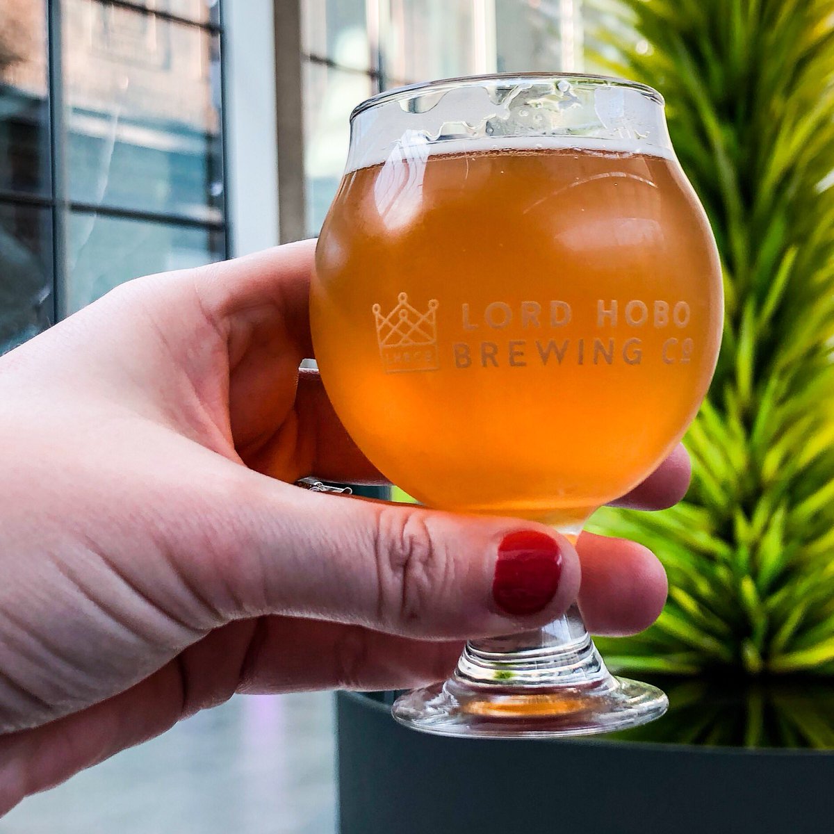 Travel Like a Local: MA tweet media