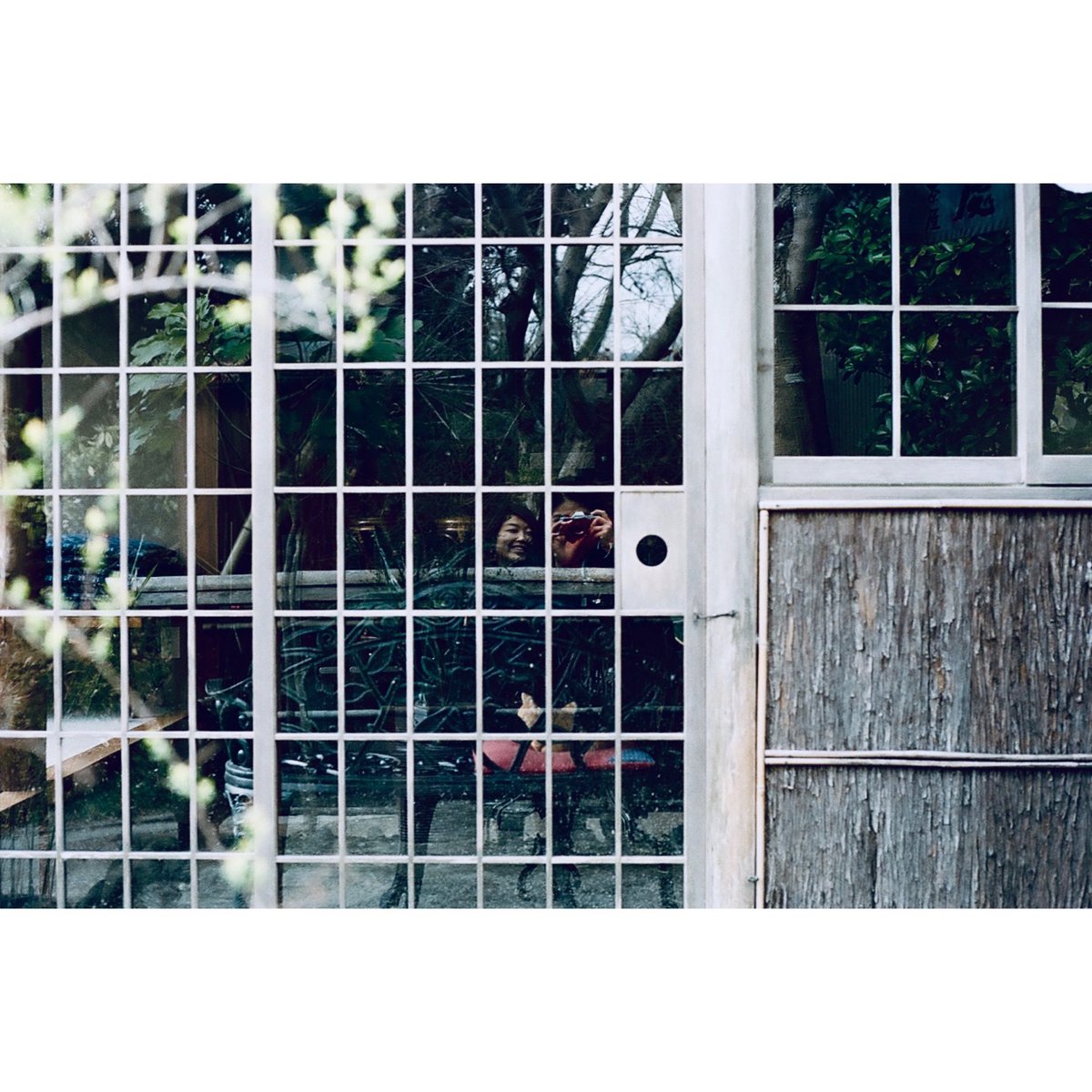 .
s e l f i e
.
.
.
.
Arashiyama 🇯🇵
.
#japan #travel #wander #arashiyama #japanphoto #35mm #olympusom10 #35analog #photofilmy #kodakclub #portra160 #35mmfilm #shootfilm #heritagecamera #filmwave #analogvibes #keepfilmalive #selfieonfilm #analogselfie #ipreview via @preview.app