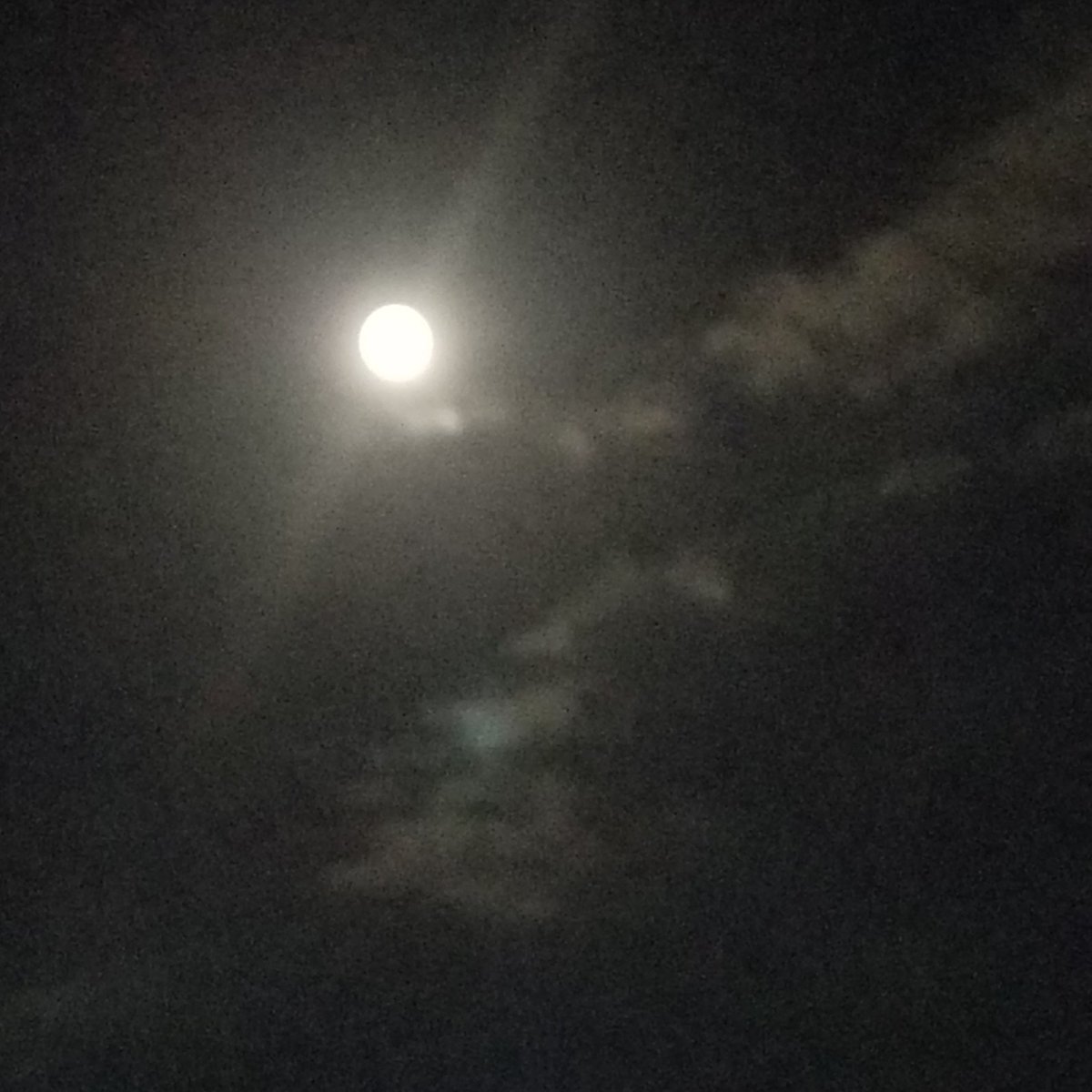 leafarcastillo's tweet photo. "Pon una hoja tierna de la luna debajo de tu almohada y mirarás lo que quieras ver"
Salga desintoxíquese de tanta realidad, que el Barbú nos permite ver hoy tremendo espectáculo.
#Selenofilia
#PricelessView
#ElBarbúYSusEspectáculos
#EnLoSimpleEstáElVerdaderoDisfrute https://t.co/d0AMbtzlsU