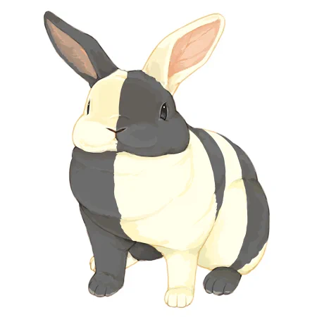 本日3月21日は春分の日
自然をたたえ、生物をいつくしむ国民の祝日
昼と夜が半分ずつになる、とも言われていますが実際は昼がちょっと長いのだとか。とは言っても14-15分程度なのでほぼフィフティーフィフティー
50:50の春分うさぎなハレクインをいつくしみまましょう
#春分の日 
