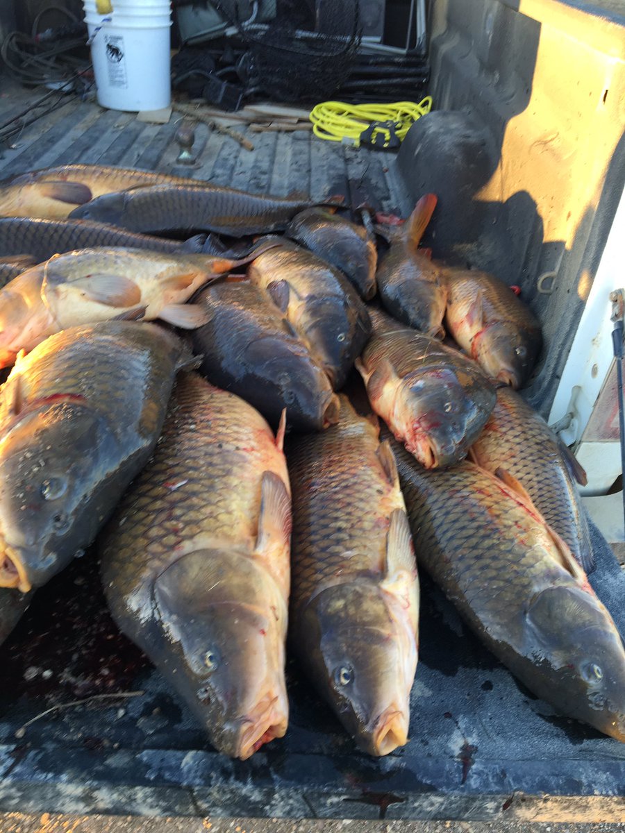 Shyt Show Fishing tweet media