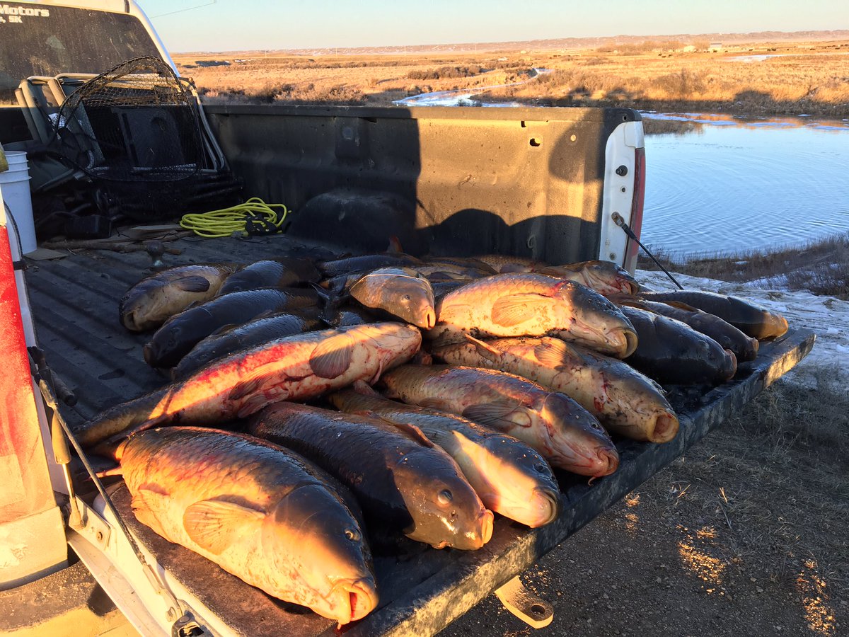 Shyt Show Fishing tweet media