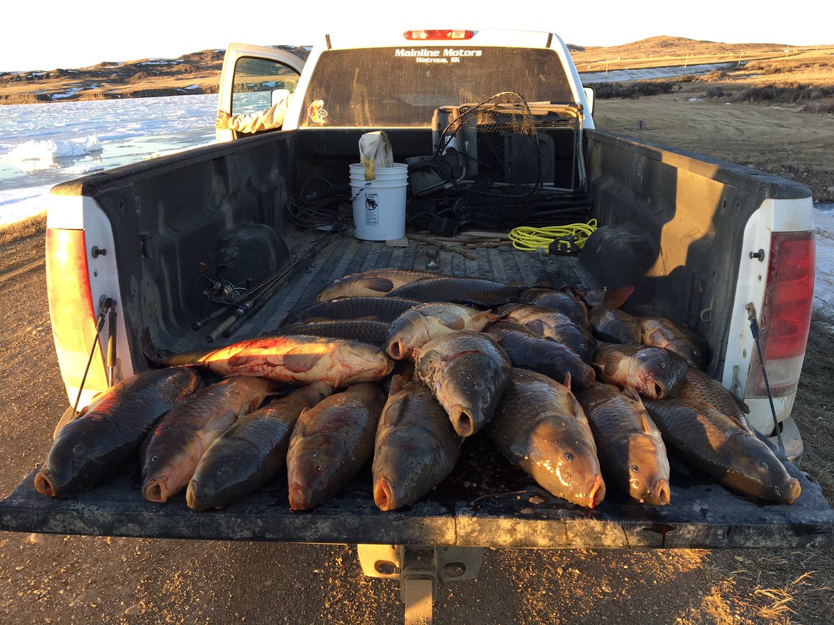 Shyt Show Fishing tweet media