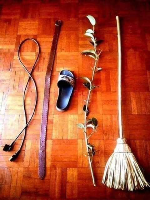 DayMayttê tweet media