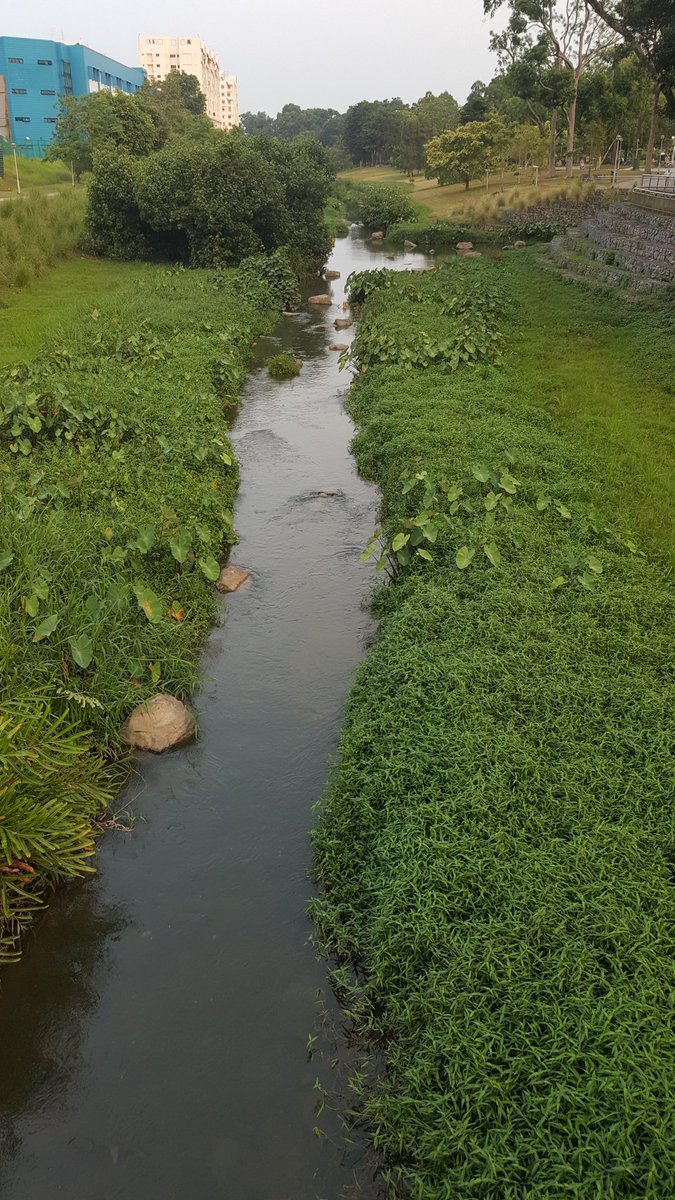 MsJoyceChuaWT's tweet photo. A natural walk and view https://t.co/tGo7o47x4Q