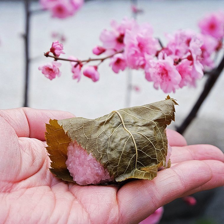 Sakura mochi 🌸 The perfect Japanese treat to enjoy on the #firstdayofspring. Cherry blossom infused sweet rice filled with red bean paste, wrapped in a pickled cherry blossom leaf.
⠀⠀⠀⠀⠀⠀⠀⠀⠀
📷: <a href="/mauyeeyee/">Mau</a>