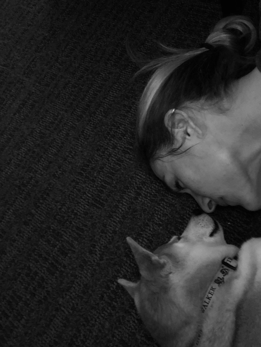 KDemergian's tweet photo. When your pup has been sick, but you are on the road and trying to make her feel better #shibainu #lovebug #travelbuddy https://t.co/r3Ehi2vGDt