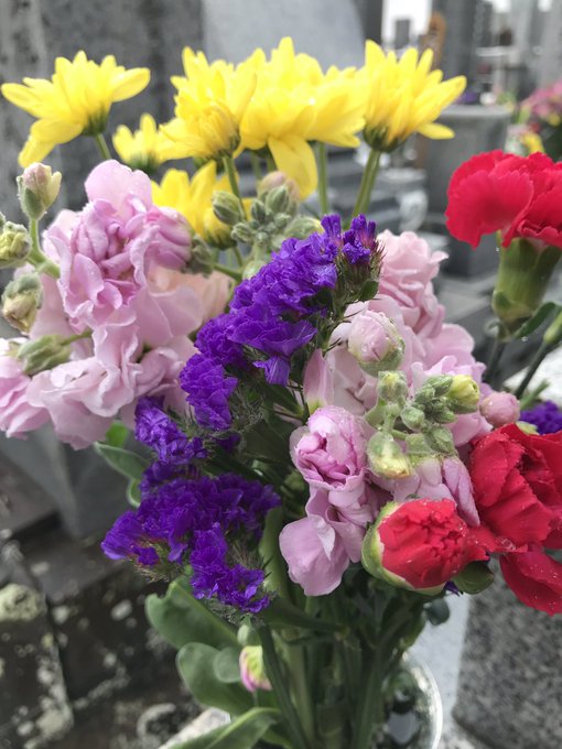 春の彼岸法要のtwitterイラスト検索結果