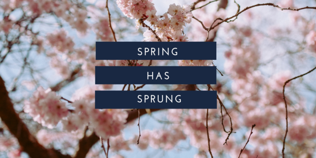 MarketingHoot's tweet photo. It's the 1st official day of spring! 🌸🌼🌷Here at Hoot Owl we are looking forward to warmer weather and sunshine. ☀️🌞 What are your favorite things about spring? Comment below. #socialmediamarketing #contentmarketing #marketingdigital # https://t.co/ArVLg1F34N