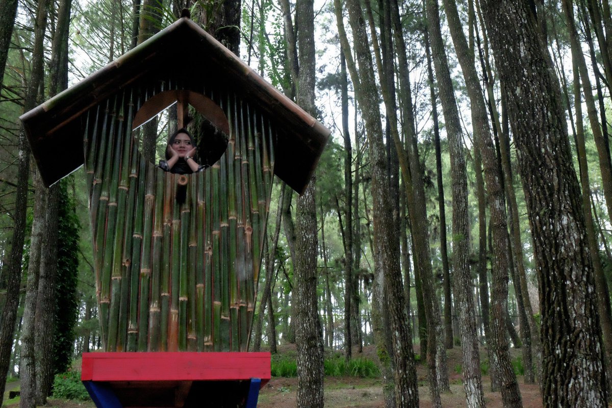 Bukit Baros (@bukit_baros) on Twitter photo 