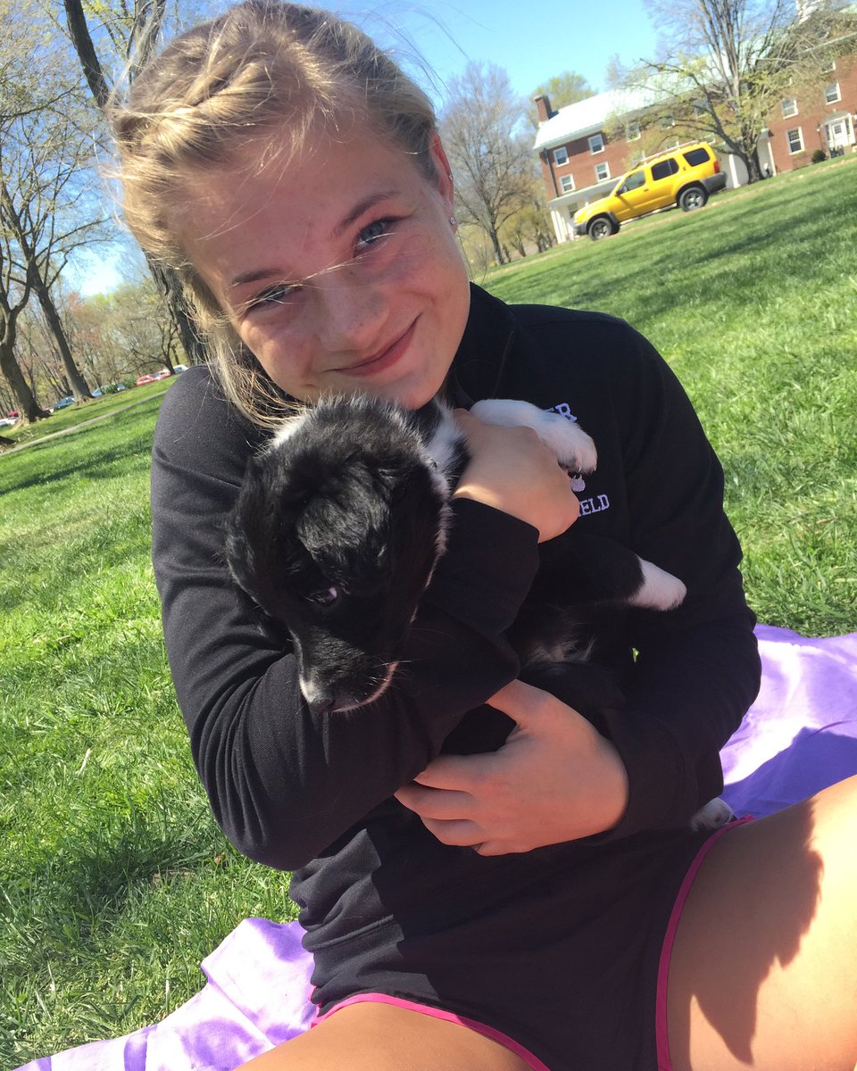 Kappa Alpha Theta Nu Chapter tweet media