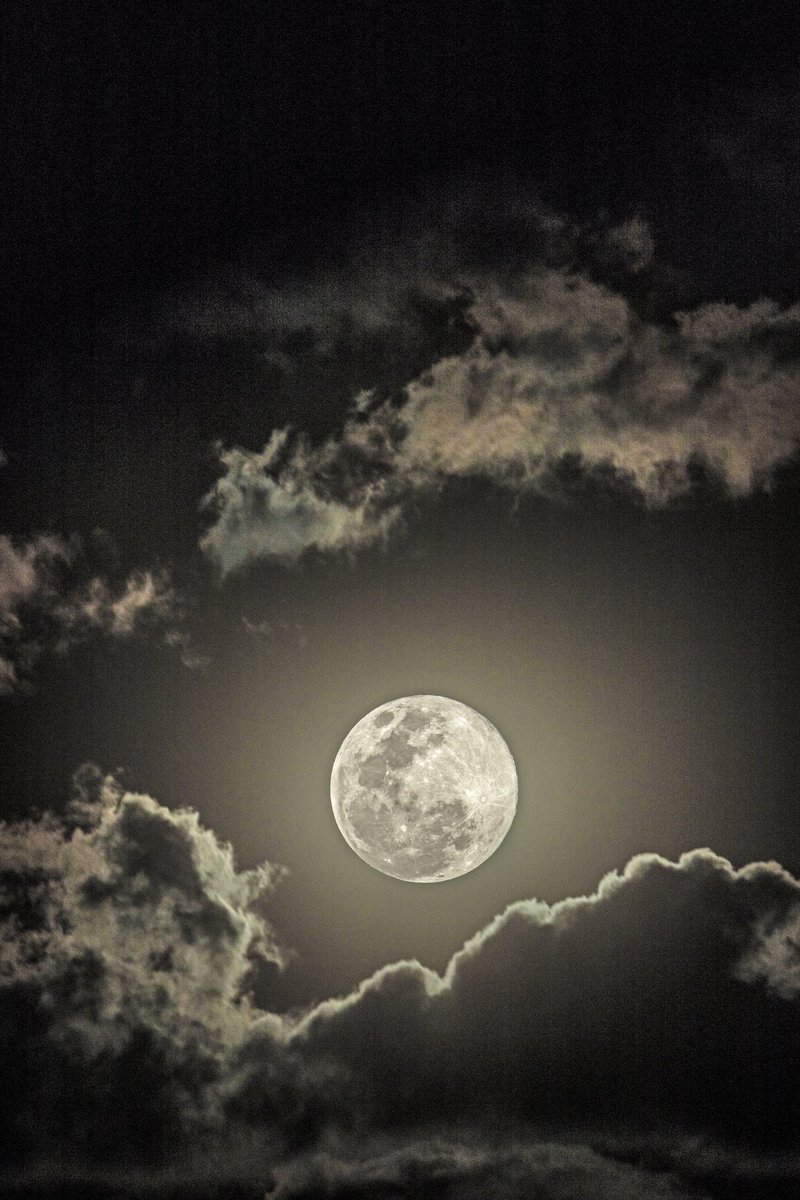Codeconline's tweet photo. #codec #creatingmemories #creatingemotions #photomakers #filmmakers #moon #luna #superluna #superluna2019 #supermoon #Toluca #México #canon #telephoto #tamron #rabbitonthemoon ##supermoon2019 #instanature #instamood #picofthenight https://t.co/qq44LBkSci