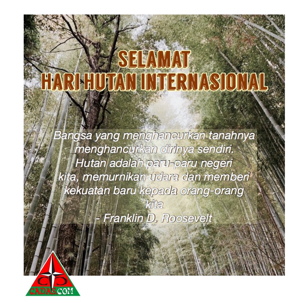 MapalaCadasCom's tweet photo. Selamat hari hutan internasional! 
Mari saling menjaga hutan kita, selain memberikan oksigen untuk kita hirup, hutan memberikan banyak manfaat untuk kehidupan kita🙏🏻 https://t.co/u55ilZaheH