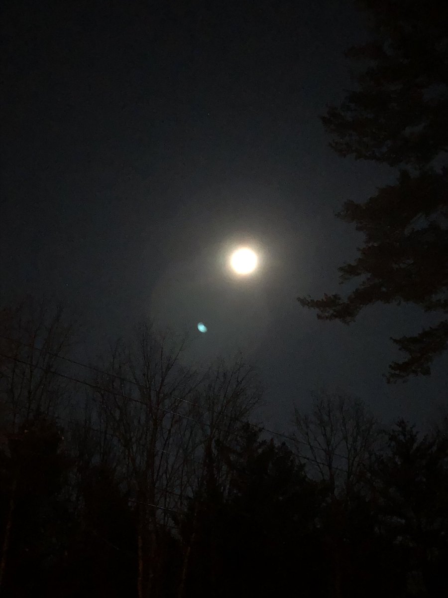 Shells_Thoughts's tweet photo. You ever just look up at the sky, want to take a picture of the moon but your cameras phone sucks ass??
Yeah, same here...
#myphoto #moon #shittyphonecamera https://t.co/3xgTlDiw72