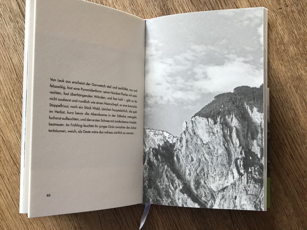 _t_m's tweet photo. #bookchallenge @dbrinkschulte
 #7BooksILove
4/7
Barbara Köhler: 36 Ansichten des Berges Gorwetsch https://t.co/JgjCyc9Shw