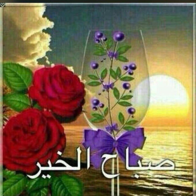 HF_TM2's tweet photo. اللهم بك أصبحنا وعليك توكلنا وأنت خير الحافظين 🌺
صباح الخير https://t.co/aFIlqM40o3