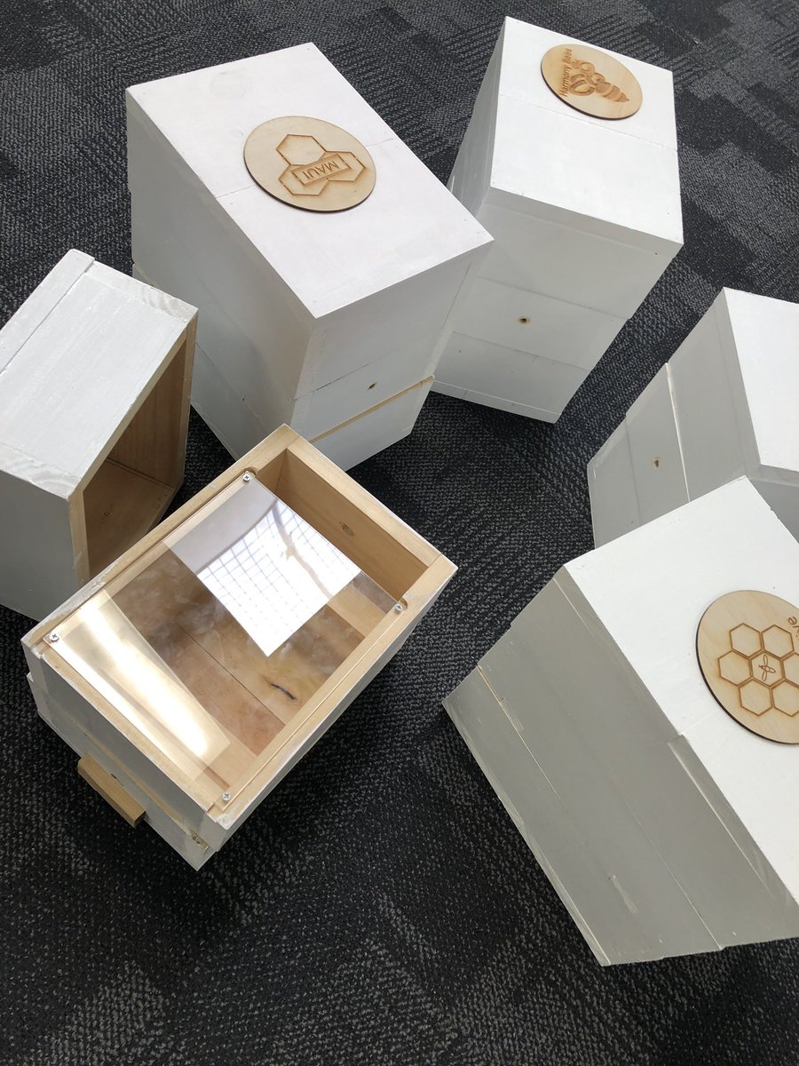 DavidGall1's tweet photo. Year 9 and 10 Design Tech Bee Hives 🐝 #bcestem #sfclearn #sustainability #nativestinglessbees https://t.co/2oxzOG0vtD