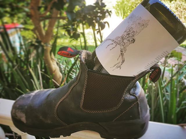 Y2KXCollective's tweet photo. It's harvest time....but first time to bottle the 2018 wines! 
#nzharvest19 #nzsummer #nzwine #nzwineorganic #organicwine #y2kx #sauvignonblanc #onlymarlborough https://t.co/PNv51PGI6W