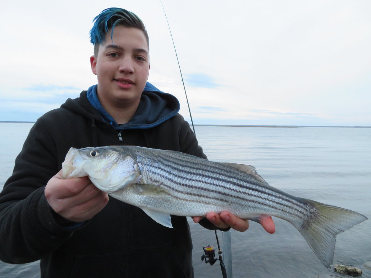 ReelMaxLife's tweet photo. Did some back bay fishing earlier today, there are some decent fish here and there https://t.co/tpLcqse9He